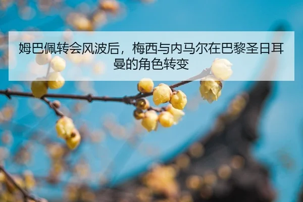 mu-ba-pei-zhuan-hui-feng-bo-hou-mei-xi-yu-nei-ma-er-zai-ba-li-sheng-ri-er-man-de-jue-se-zhuan-bian-2-607.jpg