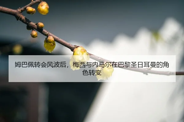mu-ba-pei-zhuan-hui-feng-bo-hou-mei-xi-yu-nei-ma-er-zai-ba-li-sheng-ri-er-man-de-jue-se-zhuan-bian-3-467.jpg