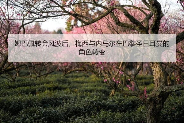 姆巴佩转会风波后，梅西与内马尔在巴黎圣日耳曼的角色转变